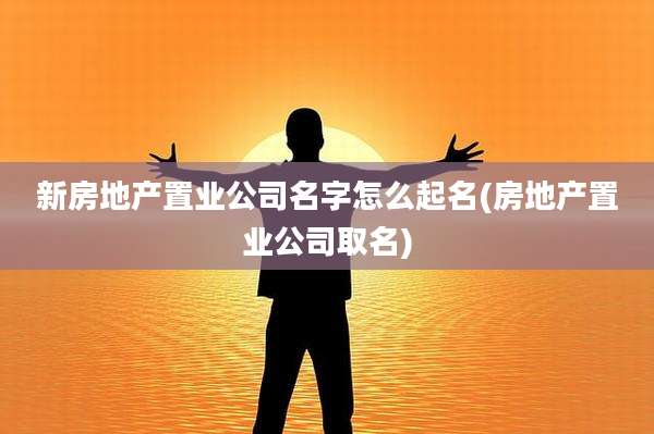 新房地产置业公司名字怎么起名(房地产置业公司取名)