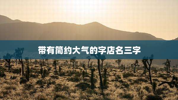 带有简约大气的字店名三字