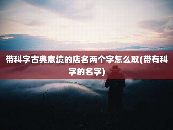 带科字古典意境的店名两个字怎么取(带有科字的名字)