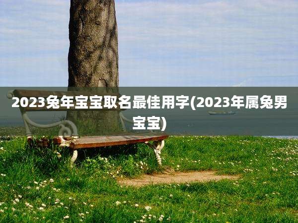 2023兔年宝宝取名最佳用字(2023年属兔男宝宝)