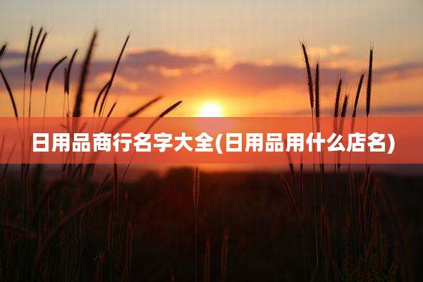 日用品商行名字大全(日用品用什么店名)
