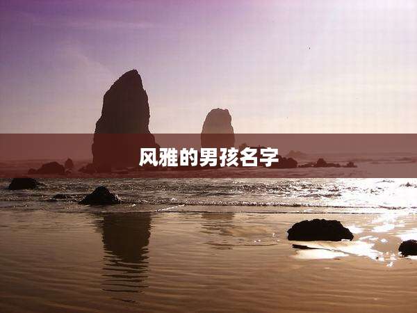 风雅的男孩名字