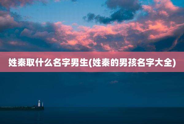 姓秦取什么名字男生(姓秦的男孩名字大全)
