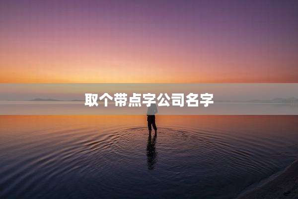 取个带点字公司名字