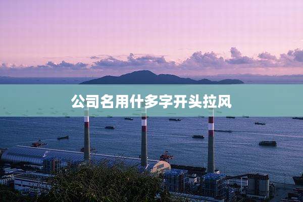 公司名用什多字开头拉风