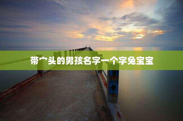 带宀头的男孩名字一个字兔宝宝