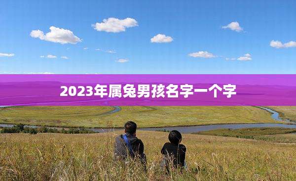 2023年属兔男孩名字一个字
