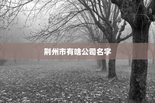 荆州市有啥公司名字