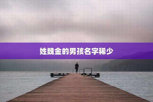 姓魏金的男孩名字稀少
