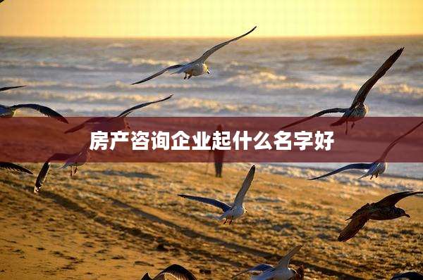 房产咨询企业起什么名字好