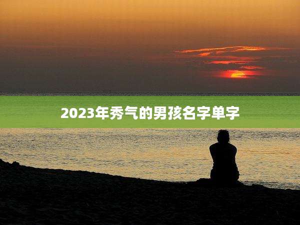 2023年秀气的男孩名字单字