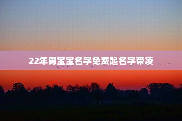 22年男宝宝名字免费起名字带凌