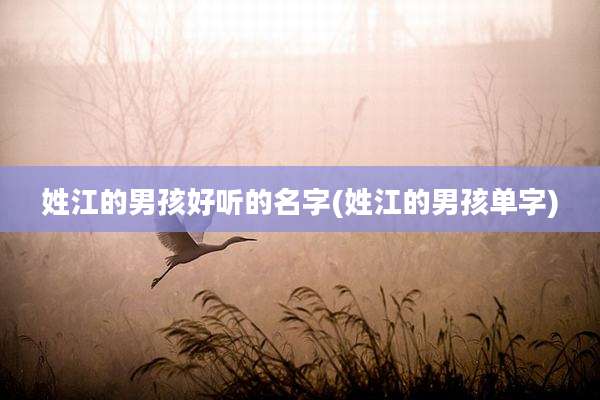 姓江的男孩好听的名字(姓江的男孩单字)