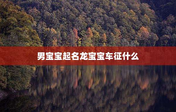 男宝宝起名龙宝宝车征什么
