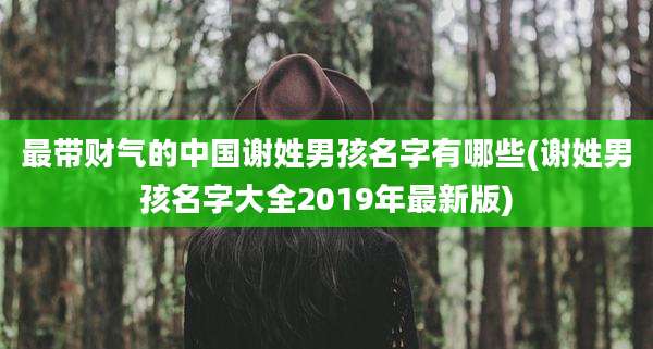 最带财气的中国谢姓男孩名字有哪些(谢姓男孩名字大全2019年最新版)