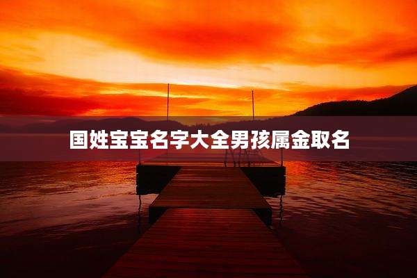国姓宝宝名字大全男孩属金取名