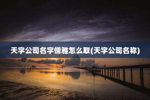 天字公司名字儒雅怎么取(天字公司名称)