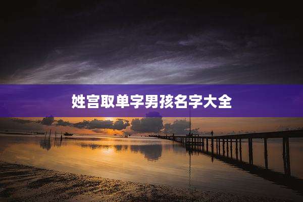 姓宫取单字男孩名字大全