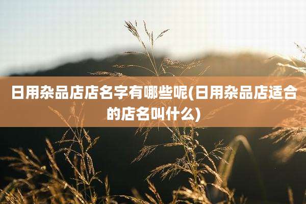 日用杂品店店名字有哪些呢(日用杂品店适合的店名叫什么)