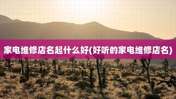 家电维修店名起什么好(好听的家电维修店名)