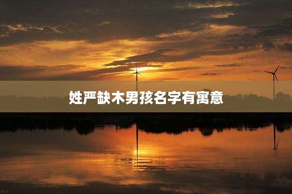 姓严缺木男孩名字有寓意