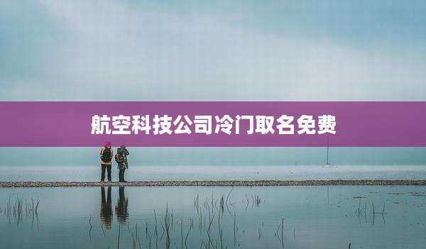 航空科技公司冷门取名免费