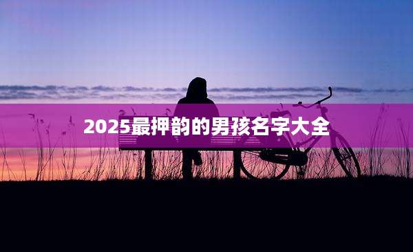 2025最押韵的男孩名字大全