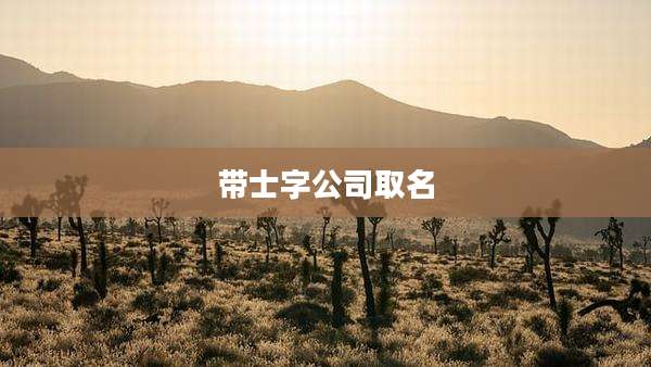 带士字公司取名
