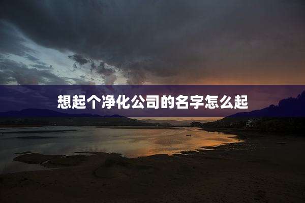 想起个净化公司的名字怎么起