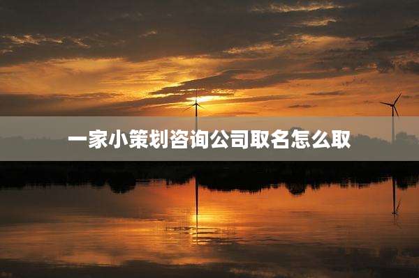 一家小策划咨询公司取名怎么取