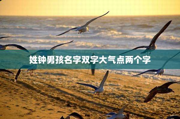 姓钟男孩名字双字大气点两个字