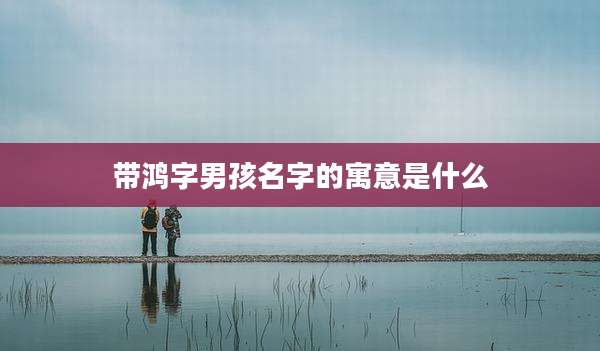 带鸿字男孩名字的寓意是什么