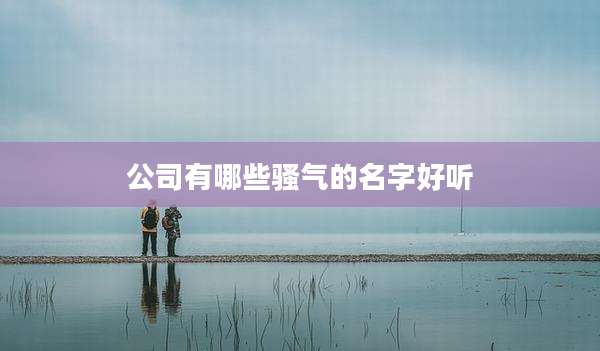 公司有哪些骚气的名字好听
