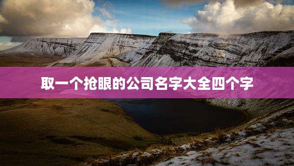 取一个抢眼的公司名字大全四个字