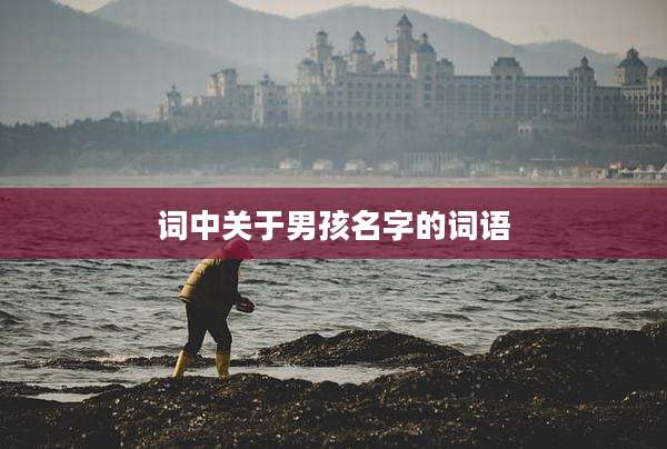 词中关于男孩名字的词语