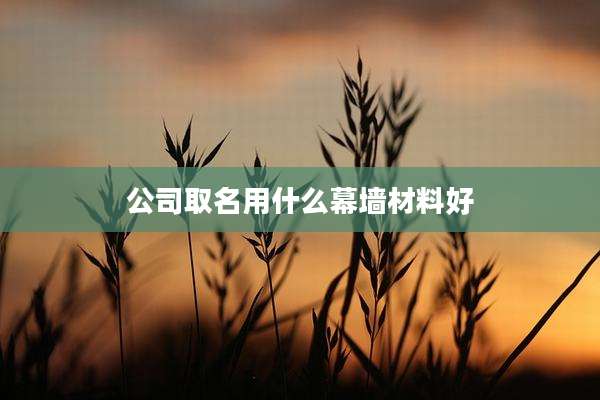 公司取名用什么幕墙材料好