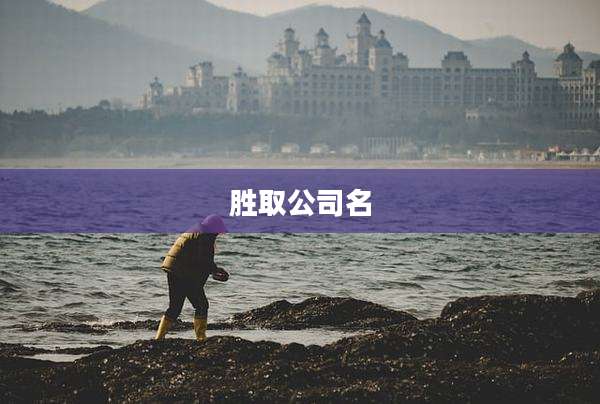 胜取公司名