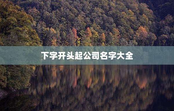 下字开头起公司名字大全
