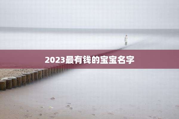 2023最有钱的宝宝名字