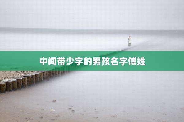 中间带少字的男孩名字傅姓