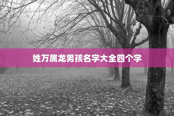 姓万属龙男孩名字大全四个字