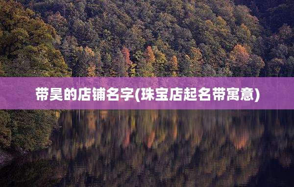 带昊的店铺名字(珠宝店起名带寓意)