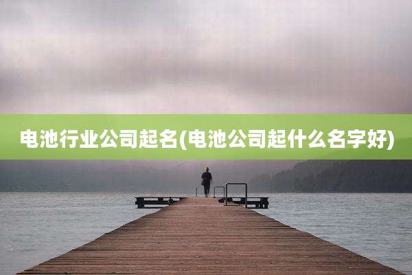 电池行业公司起名(电池公司起什么名字好)