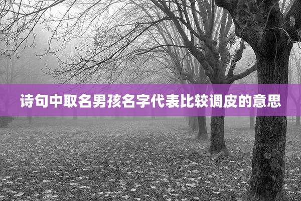 诗句中取名男孩名字代表比较调皮的意思