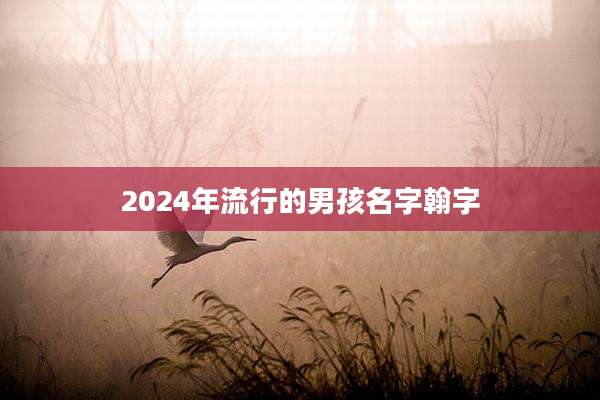 2024年流行的男孩名字翰字