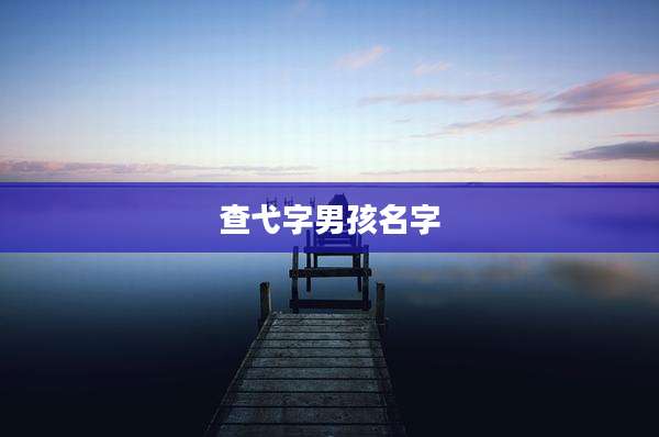 查弋字男孩名字