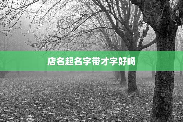 店名起名字带才字好吗