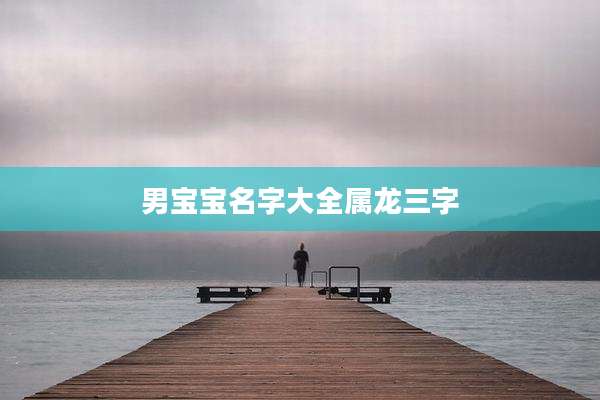 男宝宝名字大全属龙三字