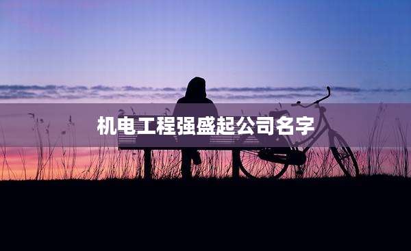 机电工程强盛起公司名字