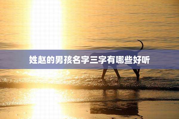 姓赵的男孩名字三字有哪些好听